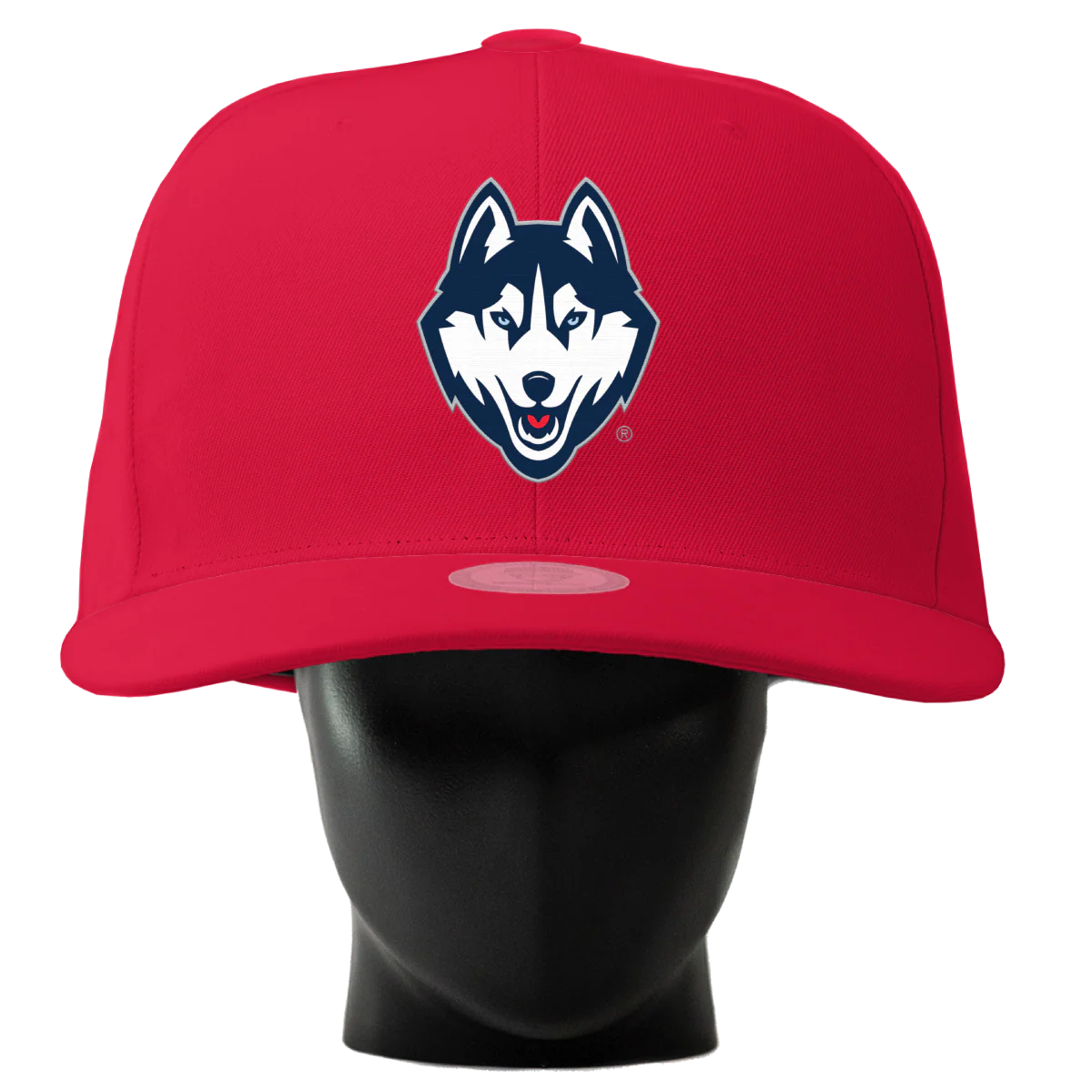 UConn Huskies Noggin - Image 2