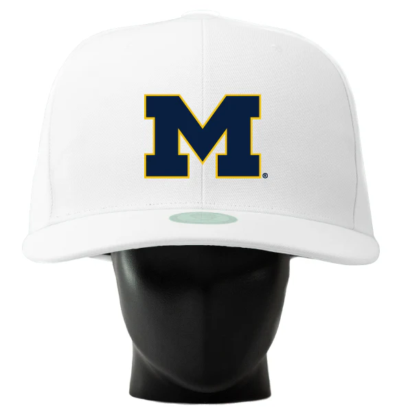 Michigan Wolverines Noggin - Image 2