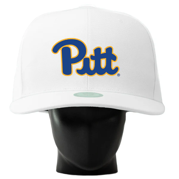 Pittsburgh Panthers Noggin - Image 2